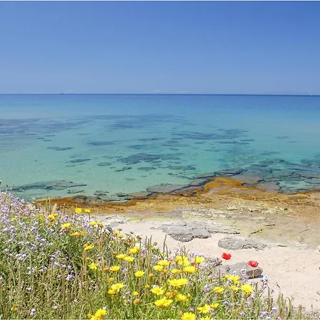 Апартаменты Cozy In Punta de su Torrione